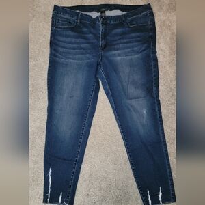 Lane Bryant Dark Blue Skinny Jeans